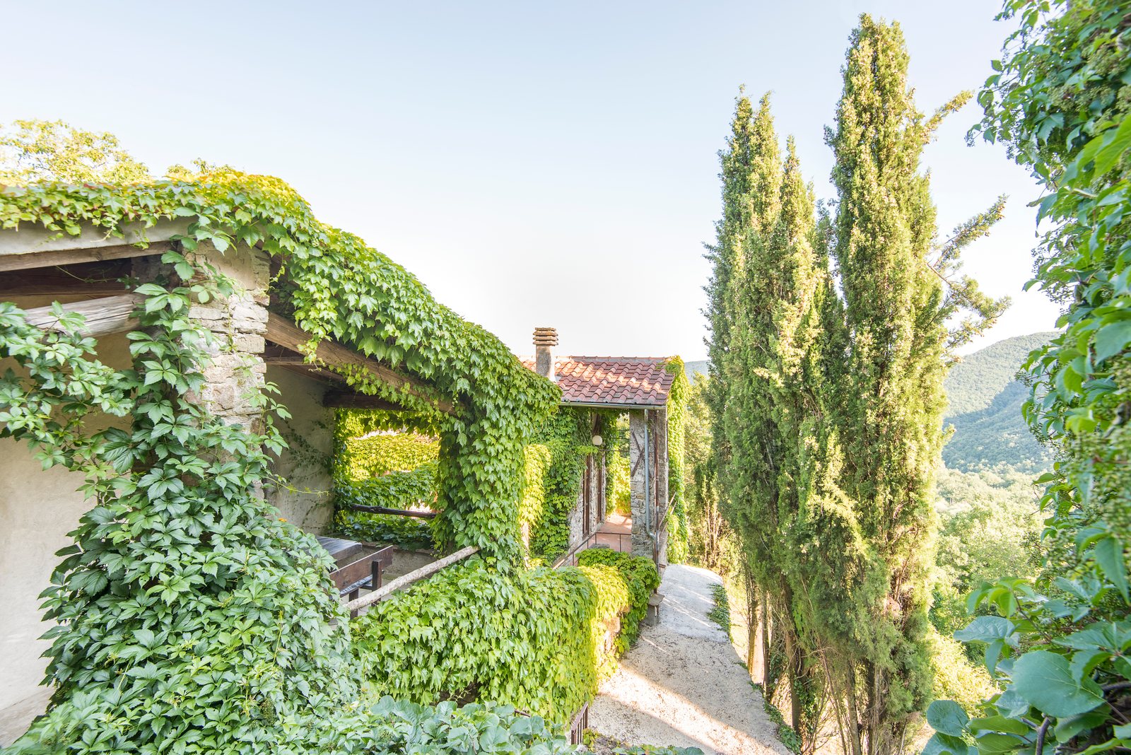 Gravel path between ivy-covered stone buildings and tall cypresses, with wooded hills behind