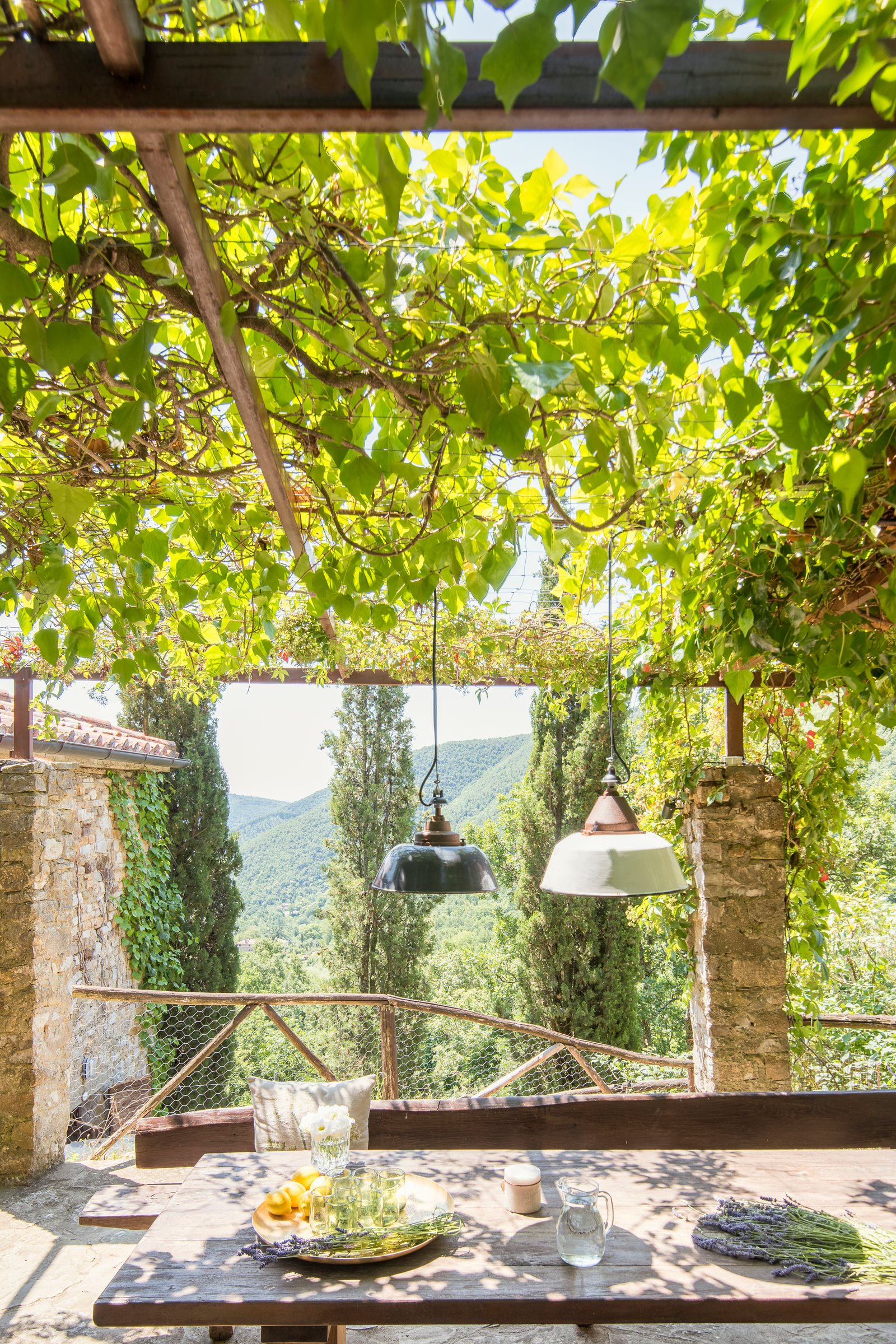 Table laid under a vine pergola, looking out over the green Val di Pierle
