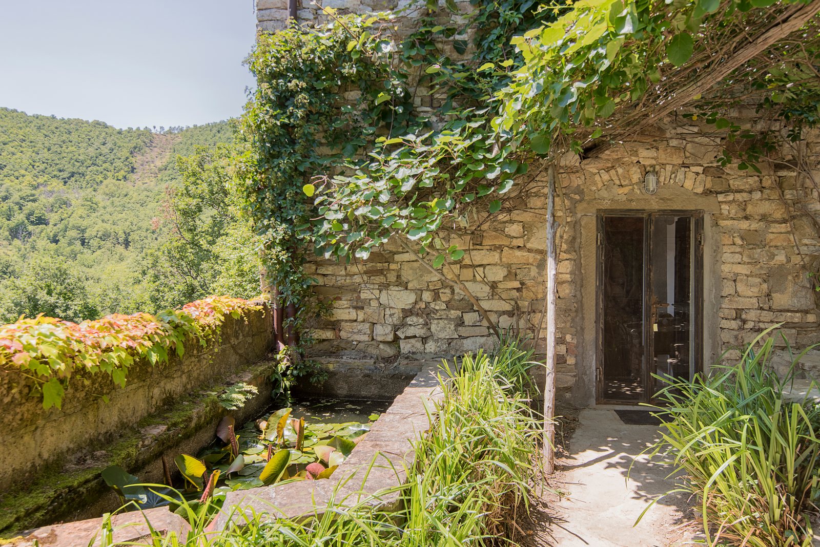 Stone building with a glazed door, beside a lily pond and wooded hills